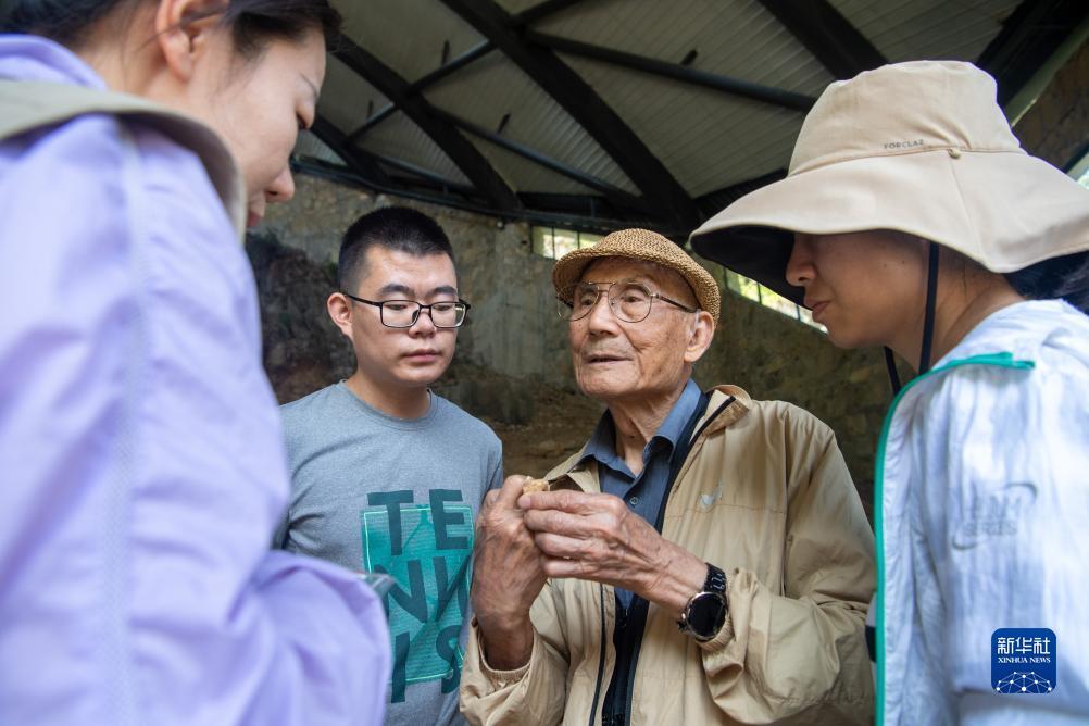 扑鱼达人单机版下载